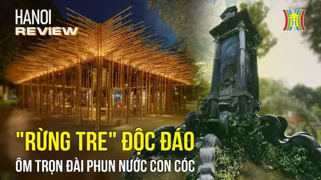 'Rừng tre' độc đáo ôm trọn đài phun nước Con Cóc | HANOI Review | 15/06/2024
