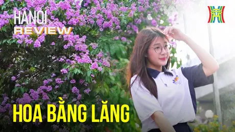 Ngắm Hà Nội lãng mạn với sắc tím hoa bằng lăng | HANOI Review | 23/05/2024