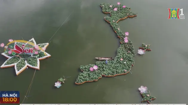 Bản đồ Việt Nam tạo hình từ 5.000 chậu hoa sen