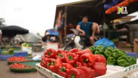 Buổi sáng ở chợ đầu mối Minh Khai | Nhịp sống Hà Nội | 05/05/2024