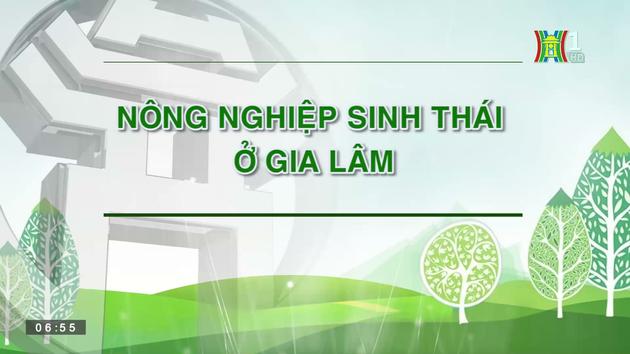 Nông nghiệp sinh thái ở Gia Lâm | Nông thôn mới Hà Nội | 16/07/2023