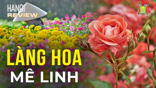 Khám phá 'thủ phủ' hoa hồng của Hà Nội | Hà Nội Reviews | 19/01/2024