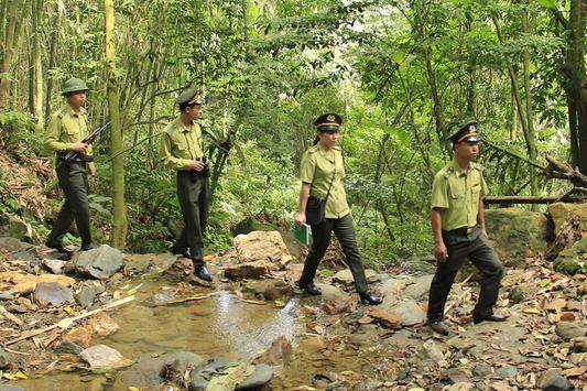 Hà Nội nâng cao năng lực quản lý bảo vệ rừng | Tạp chí kiểm lâm | 20/08/2023