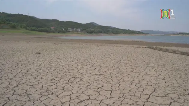 Nông dân Sơn Đông, Trung Quốc mất mùa vì nắng nóng