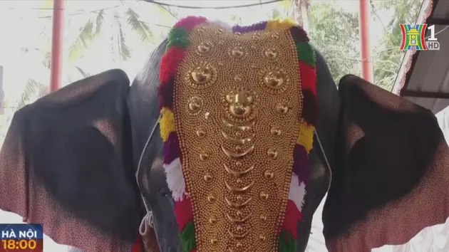 Ấn Độ sử dụng voi robot trong nghi lễ đền thờ