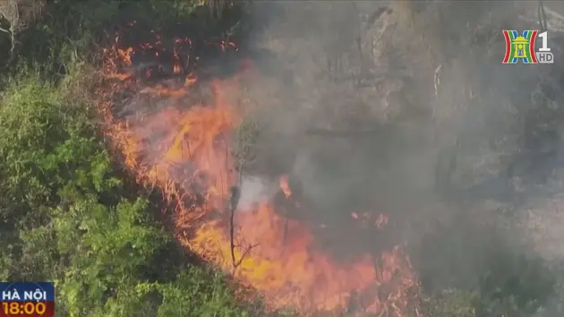 Brazil ban bố tình trạng khẩn cấp do cháy rừng hoành hành