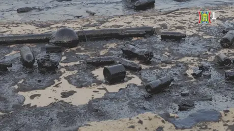 Singapore: mất 3 tháng để xử lý dầu loang tại đảo Sentosa
