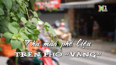 Thu mua phế liệu trên phố 'vàng' | Nhịp sống Hà Nội | 30/05/2024