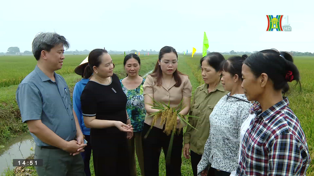 Xu thế nông nghiệp xanh, nông nghiệp an toàn ở Hà Nội | Thực phẩm an toàn |16/07/2023