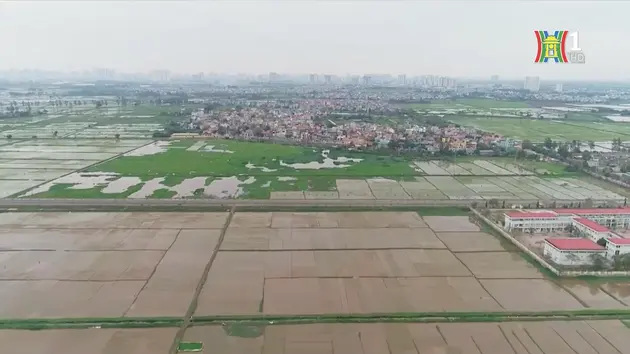 Giá đất ở Hà Nội chỉ 20 triệu đồng/m2