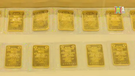 Đấu thầu thành công hơn 8.000 lượng vàng miếng