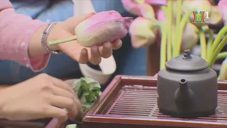 Trải nghiệm trà sen Hồ Tây - tinh hoa trà Việt