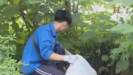 Giới trẻ hưởng ứng chiến dịch 'Clean Up Việt Nam'
