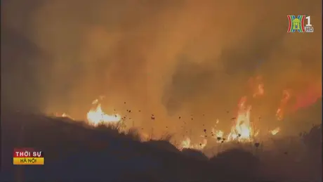 Israel cháy rừng dữ dội sau các vụ tấn công từ Liban