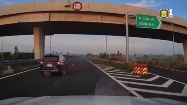 Tước giấy phép lái xe tài xế đi lùi trên cao tốc