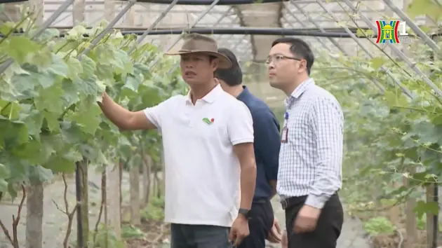 Đề nghị huỷ bỏ khu nông nghiệp Công nghệ cao Hà Nội