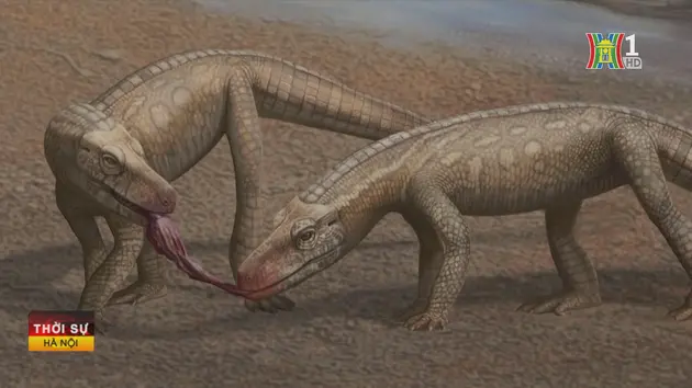 Phát hiện hóa thạch bò sát thời tiền khủng long ở Brazil